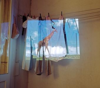 "Projections" von Marlon Kowalski