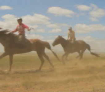 Dan Chung: Fotojournalismus trifft mongolische Tradition