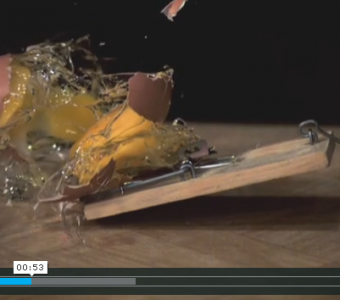 Tempus II – Slow Motion am Puls der Zeit