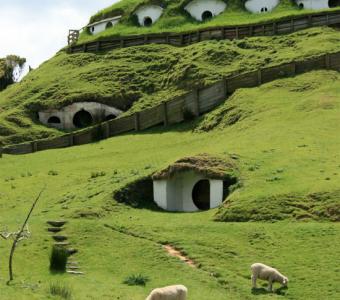 Hobbiton von "Herr der Ringe" wird zum Schafsdorf