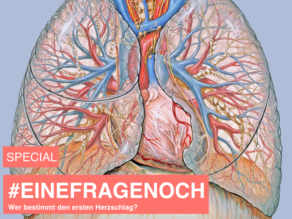Alfonso_einefragenoch.001