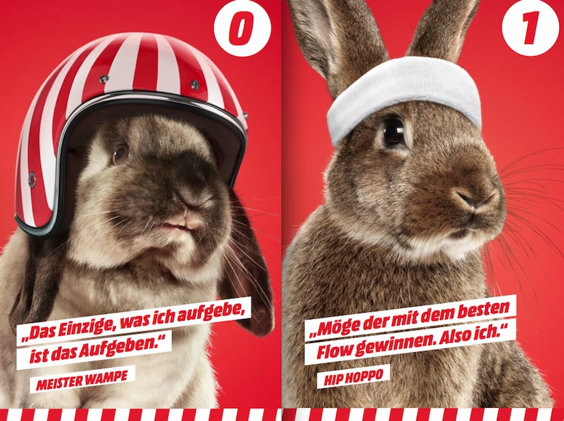 Das_grosse_osterhasen_rasen_media_markt_2015_03