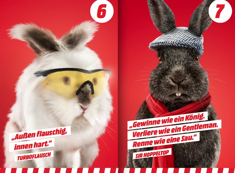 Das_grosse_osterhasen_rasen_media_markt_2015_06