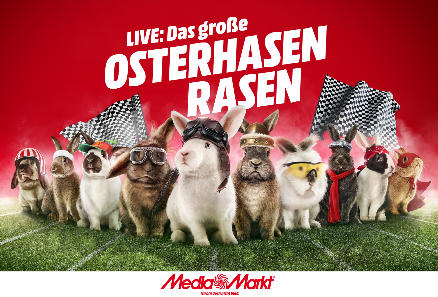Gruppenfoto_Hasen-Rasen