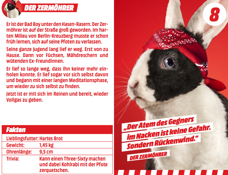 Osterhasenrasen-1